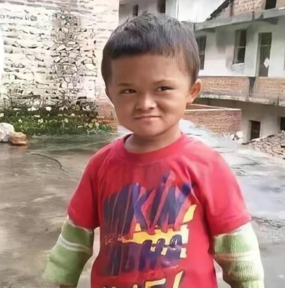 RVC AI小马云唱歌训练包