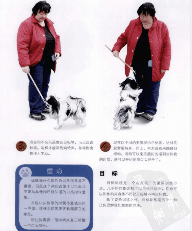 【电子书】宠物犬技能训练通用手册+驯犬指南【PDF】