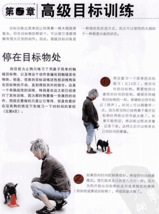 【电子书】宠物犬技能训练通用手册+驯犬指南【PDF】