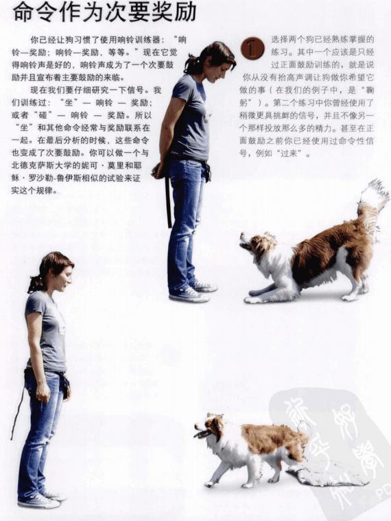 【电子书】宠物犬技能训练通用手册+驯犬指南【PDF】