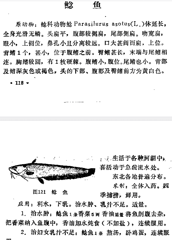 【书籍】《东北动物药》PDF【记录了药用动物的种类与数量,地区包括了东三省】