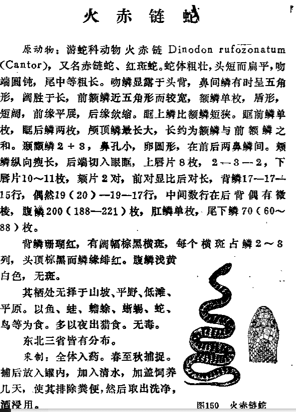 【书籍】《东北动物药》PDF【记录了药用动物的种类与数量,地区包括了东三省】