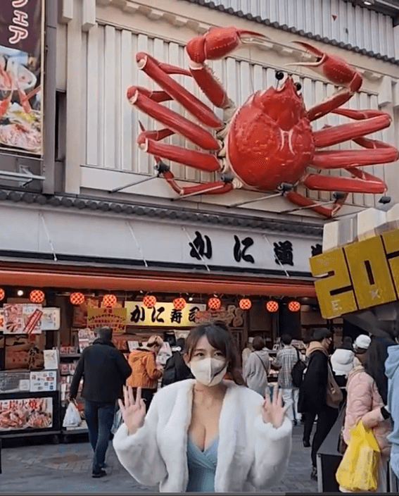 【视频素材】《日本街头街拍实景》【高清MP4】