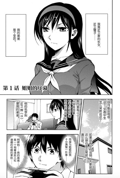 【日本漫画】《姐姐的妄想日记》(12卷全) 作者:田口健二 分类:幽默 生活