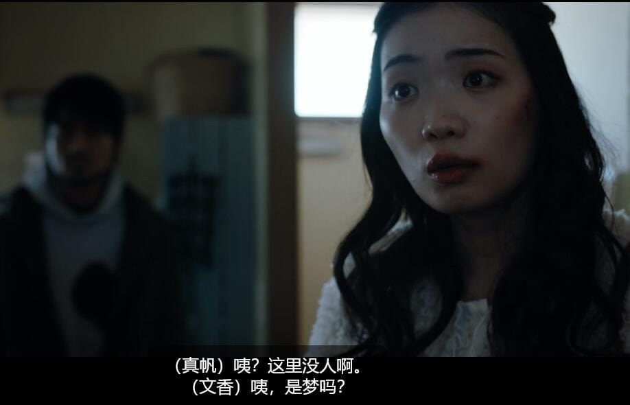 【电影】《幽灵杀手》(2024)1080P.日语中字