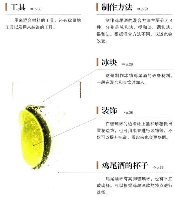 【书籍】《鸡尾酒制作图鉴》斋藤都斗武, 佐藤淳【PDF】银座酒吧鸡尾酒制作教程